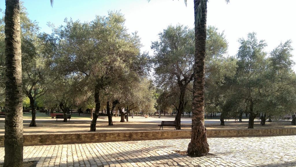 Apartamento Buhaira Sevilla Exteriör bild