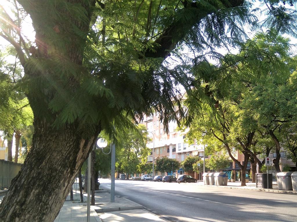 Apartamento Buhaira Sevilla Exteriör bild